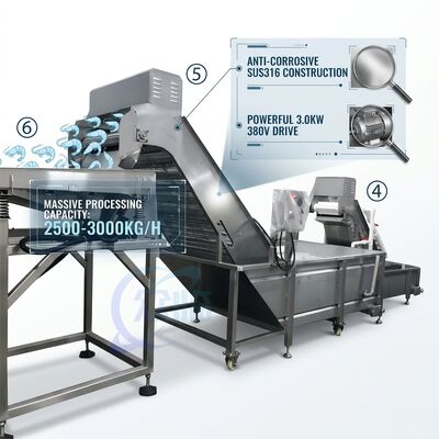 Buon prezzo Heavy Duty Shrimp Deheading Production Line Precision SUS316 1000-1500KG 11.7KW 415V in linea