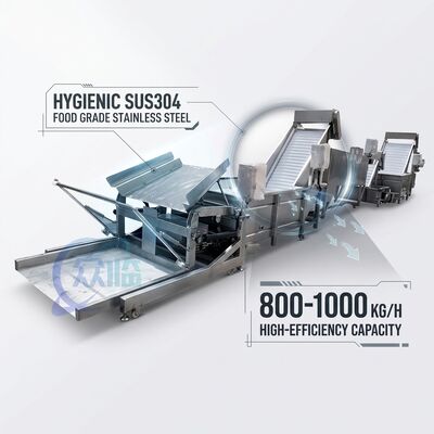 Buon prezzo Smart Shrimp Processing Equipment SUS316 2000-2500KG 2.2KW 50Hz For Seafood Factory in linea