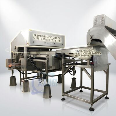 Buon prezzo Macchina per la rimozione della testa di gamberi in acciaio inossidabile SUS316L 500-800KG 5.5KW 60Hz per impianto di lavorazione di gamberi in linea