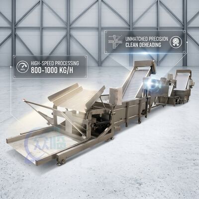 Buon prezzo SUS316 Shrimp Deheading System Food Grade SUS304 800-1000KG 3.0KW 415V For Fish Processing Plant in linea