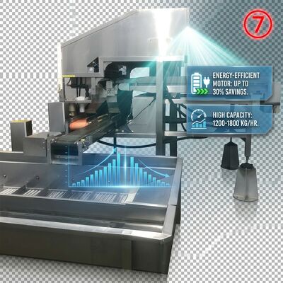 Buon prezzo 380V Powered Shrimp Head Body Separator Anti Corrosive SUS316 1000-1500KG 9.0KW 440V in linea