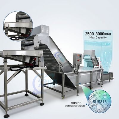 Buon prezzo Macchina per la decapitazione e la selezione di gamberi multiscena in acciaio inossidabile SUS304 1500-2000KG 3.0KW 380V in linea