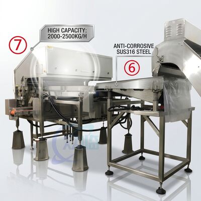 Buon prezzo Linea di produzione efficiente per la decapitazione di gamberetti Precisione SUS316 1500-2000KG 7.5KW 415V in linea