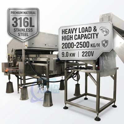 Buon prezzo Macchina di decapitazione di gamberetti commerciale SUS304 800-1000KG 11.7KW 380V Per fabbrica di pesce in linea