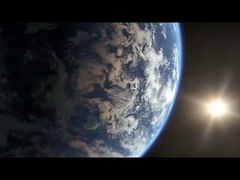 Selezionatrice del gamberetto