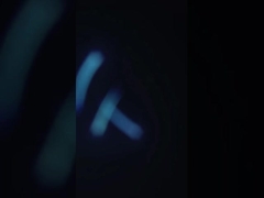 SUS304 Macchina pratica per la pulizia dei gamberi, separatore multiuso dei rifiuti di gamberi